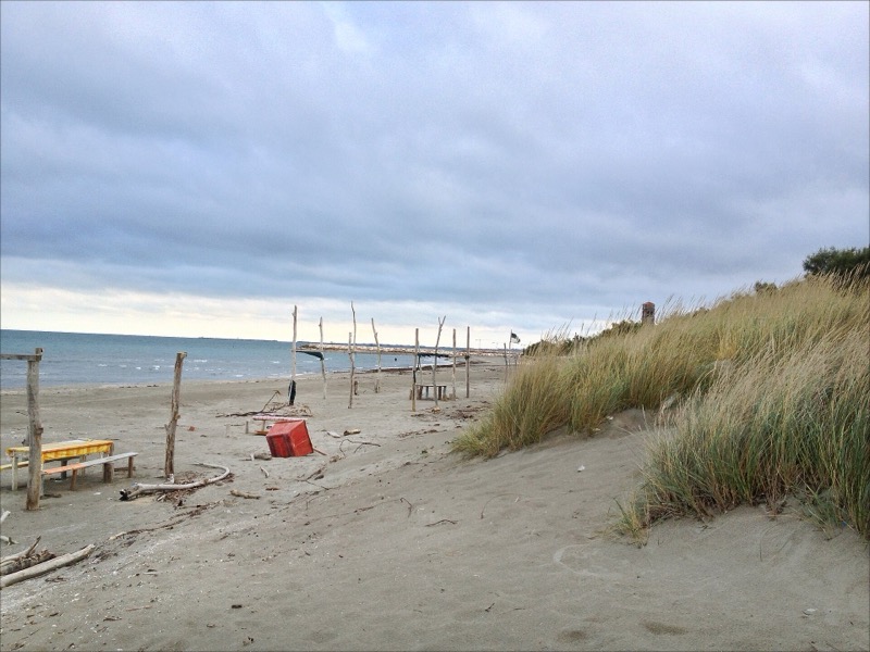 The Adriatic shore at Pellestrina